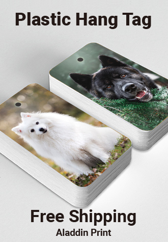 Plastic Hang Tag (Thin PET Material)